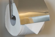 How to Fold the Perfect Toilet Paper Point